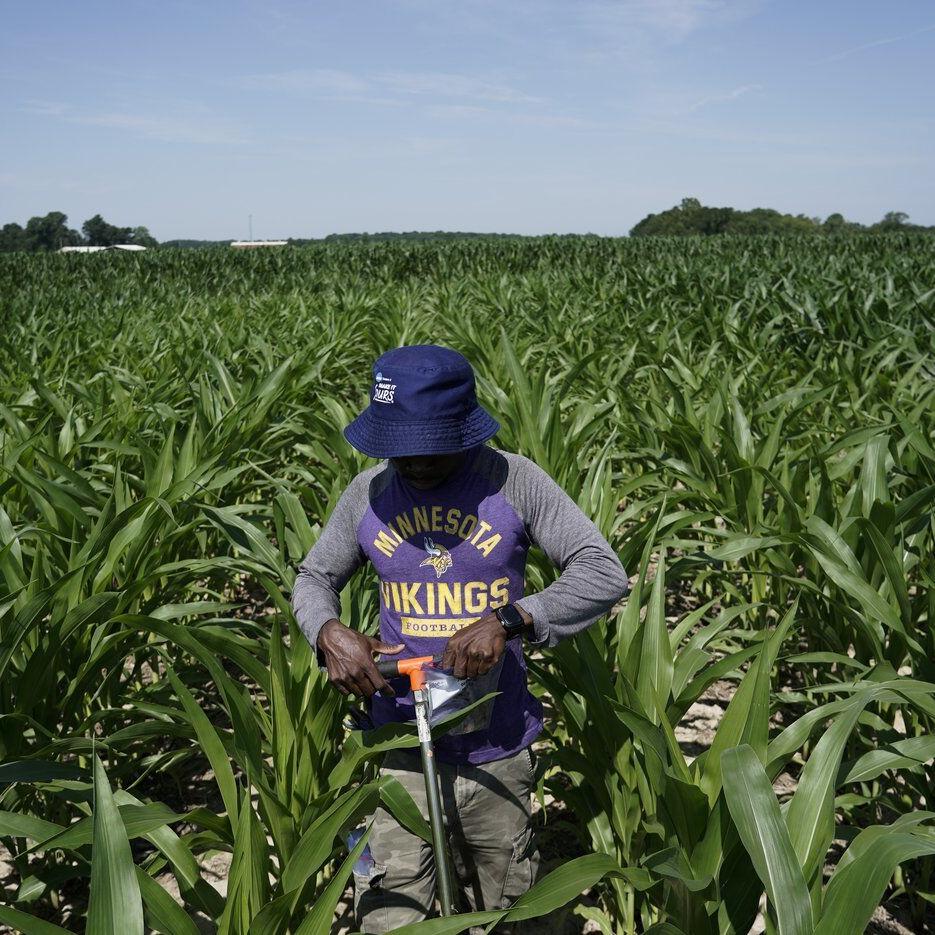 Scientists shielding farming from climate change need more public funding. But they're getting less